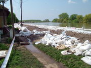 2006